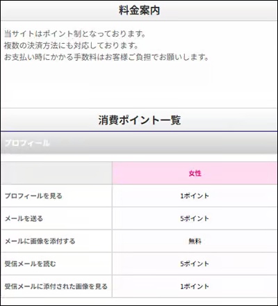カタテマワークのポイント購入画面と料金案内